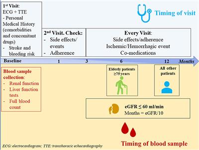 Tailored Practical Management of Patients With Atrial Fibrillation: A Risk Factor-Based Approach